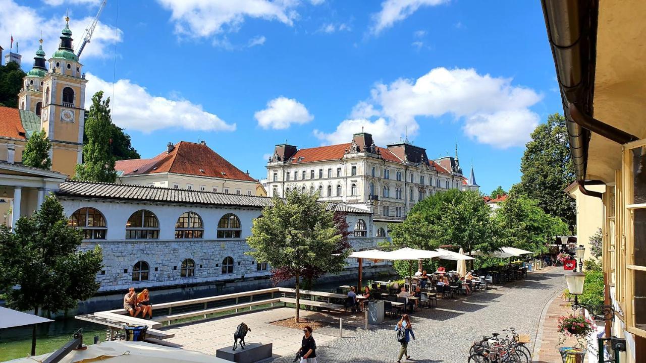 Petkovsek Rooms And Apartments Ljubljana Luaran gambar