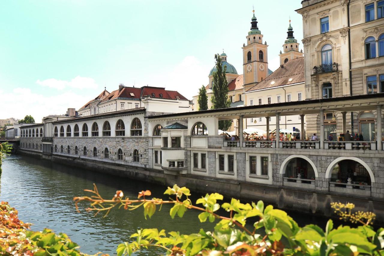 Petkovsek Rooms And Apartments Ljubljana Luaran gambar