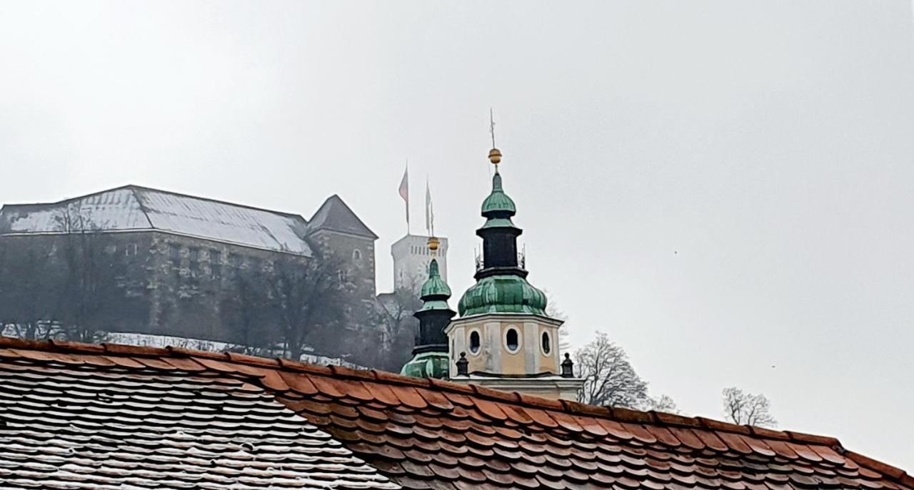 Petkovsek Rooms And Apartments Ljubljana Luaran gambar